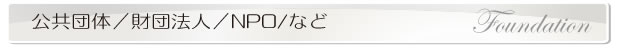 公共団体／財団法人／NPOなど